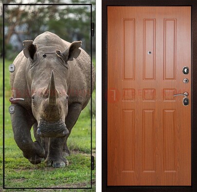 Металлическая дверь с фотопечатью носорога ДФ-31 в Всеволожске