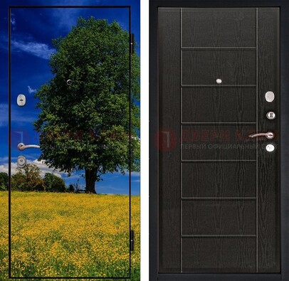 Железная дверь с фотопечатью дерева в поле ДФ-36 в Всеволожске