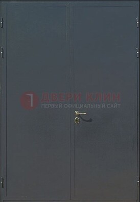 Двухстворчатая техническая дверь ДТ-5 в Всеволожске